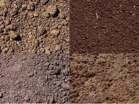 生物除臭剂对土壤的改善作用