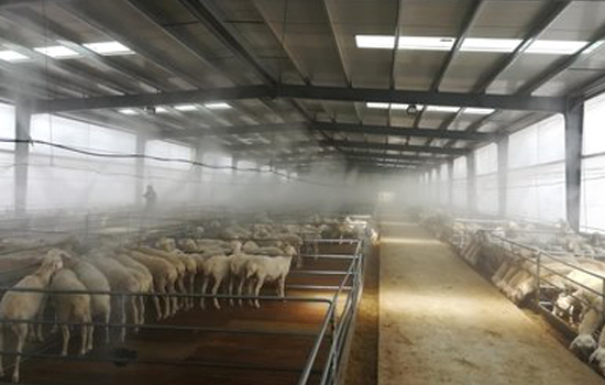 高压除臭雾化系统