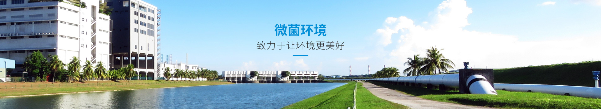 携手微菌，守护绿色家园