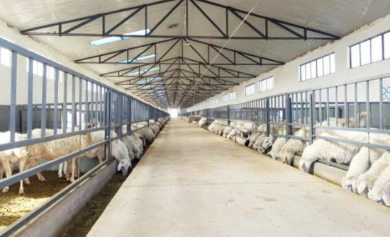 臭气的来源分析