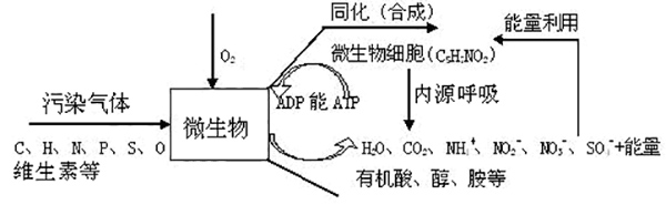 污染物的转化机理