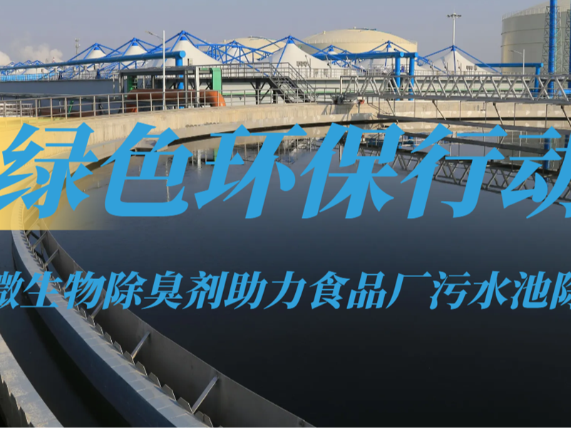 绿色环保行动：微生物除臭剂助力食品厂污水池除臭