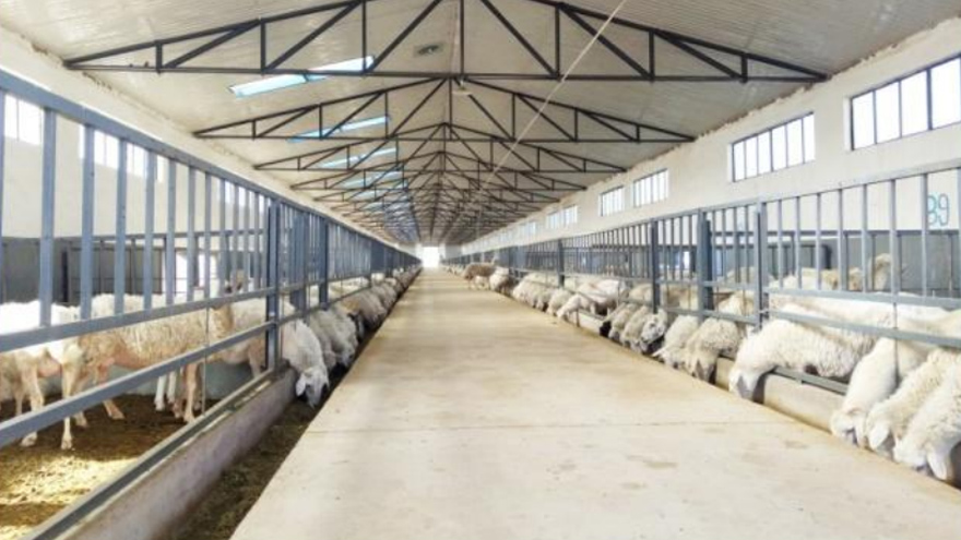 养殖场除臭解决方案